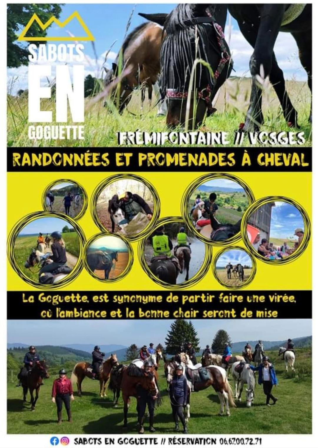Les Vergers D'Epona "Fremifontaine Vosges" Экстерьер фото